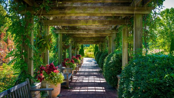 Ames Reading Retreat - Jun 19 - Jun 21